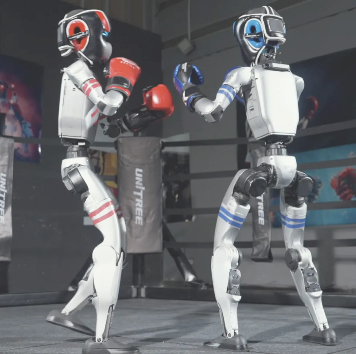 Vidéo: robots sur le ring