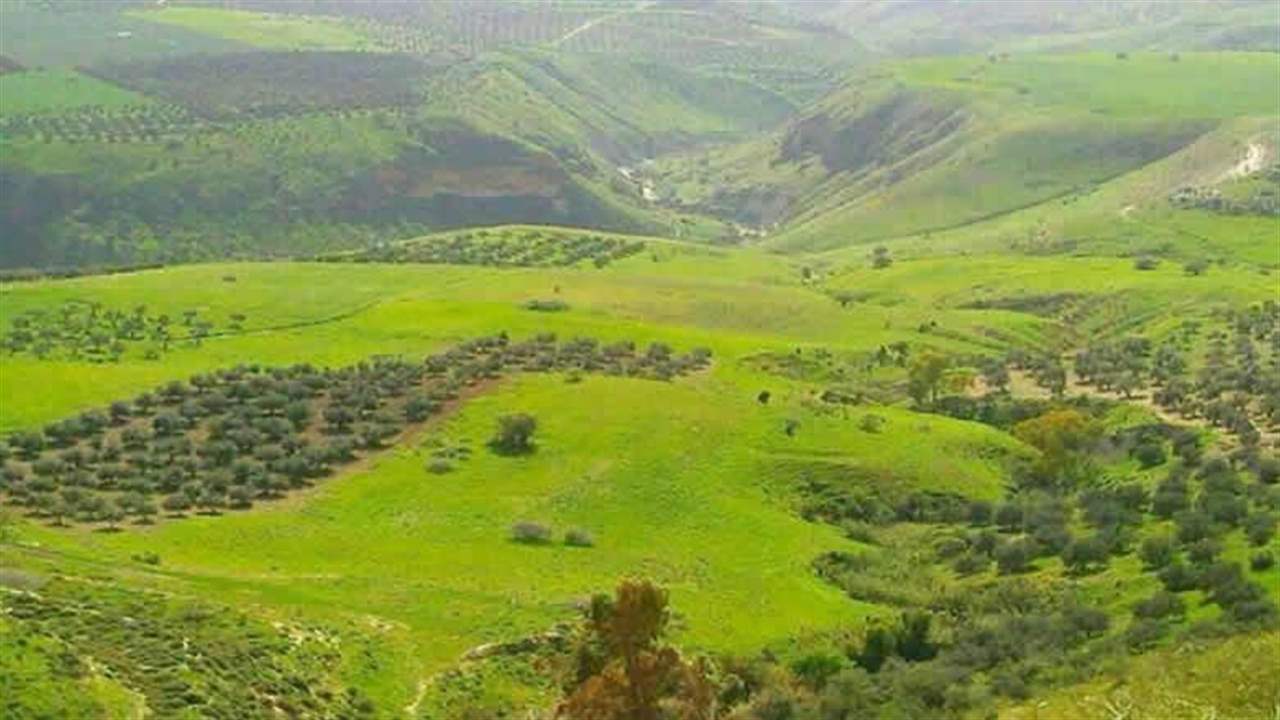 En apptéitions pour les trois présidents … les fermes libanaises Shebaa!